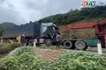 Sự cố giao thông xảy ra tại đèo An Khê