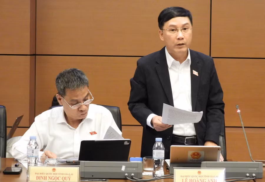 db-le-hoang-anh-anh-doan-dbqh-tinh-gia-lai.jpg