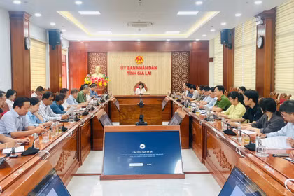 Họp rà soát công tác chuẩn bị Festival Cồng chiêng - Tuần lễ Hoa Dã quỳ - Chư Đang Ya năm 2026