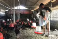 Khai giảng 2 lớp đào tạo nghề cho nông dân, cựu chiến binh xã An Nhơn Tây