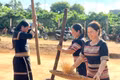 Phục dựng Lễ Mừng lúa mới tại xã Kdang
