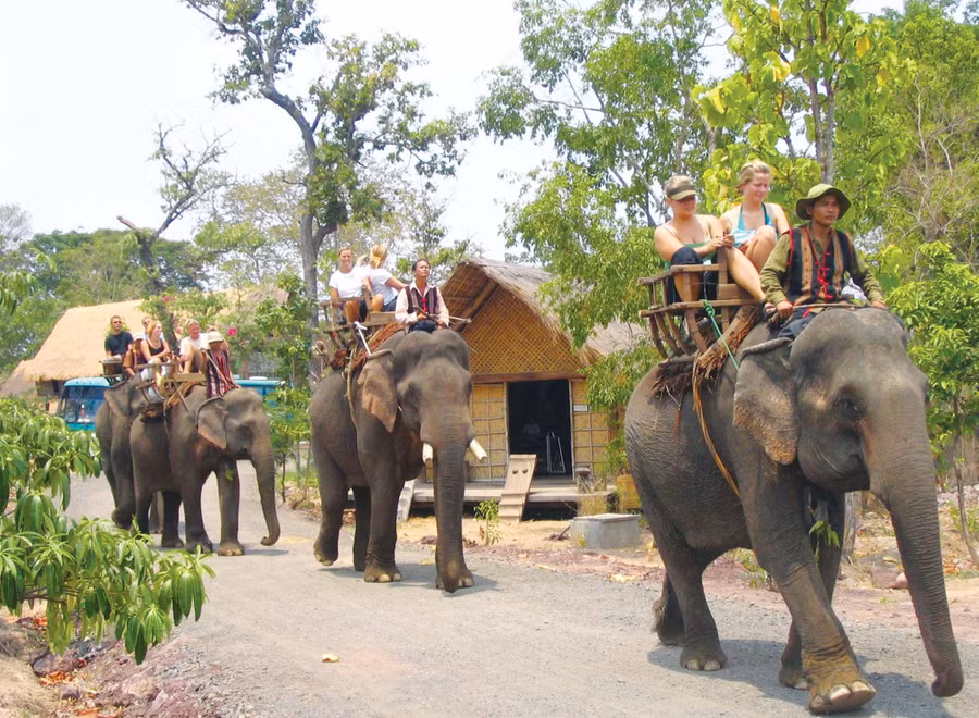  Du khách cưỡi voi ở Buôn Đôn (Đak Lak). Ảnh: Minh Quang 