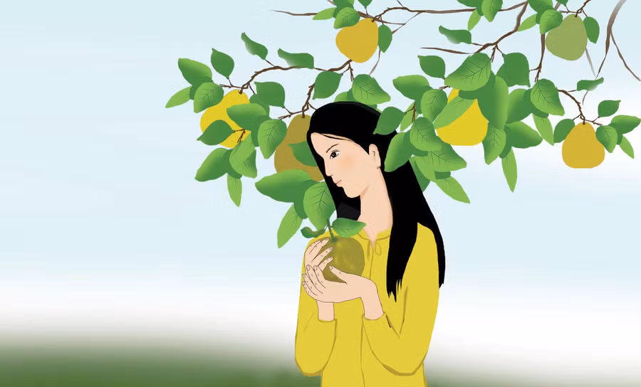 Minh họa: Huyền Trang