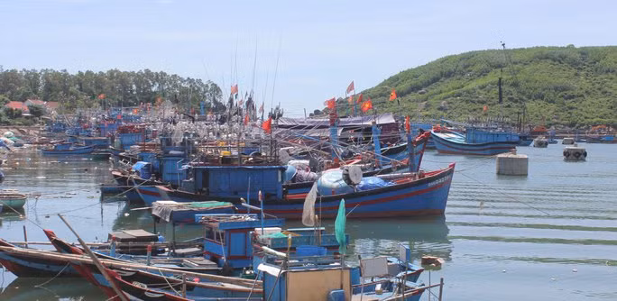  Vùng cửa biển Mỹ Á