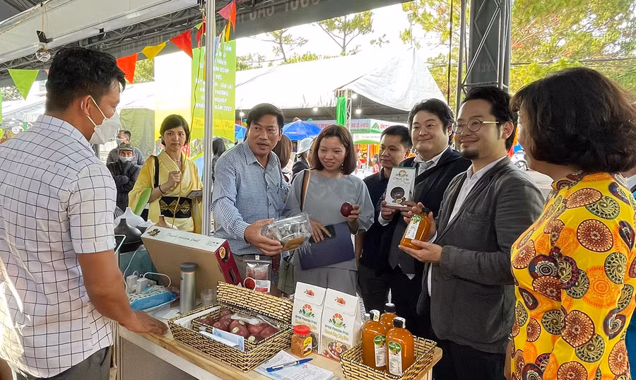  Việc tăng cường công tác xúc tiến thương mại sẽ góp phần mở rộng thị trường tiêu thụ trong và ngoài nước đối với nhiều mặt hàng nông sản của Gia Lai. Ảnh: Vũ Thảo