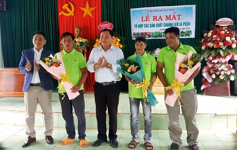 Lãnh đạo UBND xã Ia Pếch trao quyết định thành lập tổ hợp tác sản xuất chanh leo Ia Pếch. Ảnh: Thanh Loan