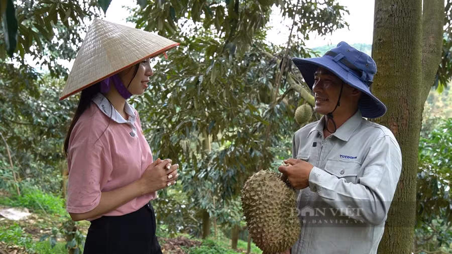 Anh Hòa rất vui và xúc động khi được chọn là 1 trong 100 Nông dân Việt Nam xuất sắc 2022. Ảnh: Văn Long