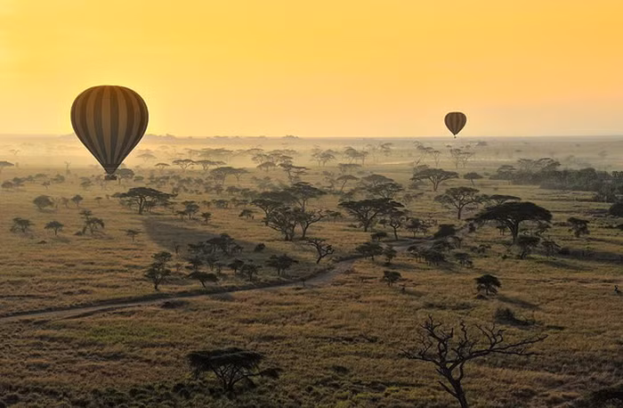 Ảnh: Diana Robinson/Getty Images