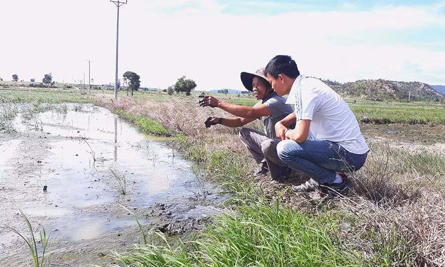  Đất bị nhiễm nước thải đã hóa đen và bốc mùi hôi thối không thể tiếp tục canh tác. Ảnh: Văn Ngọc