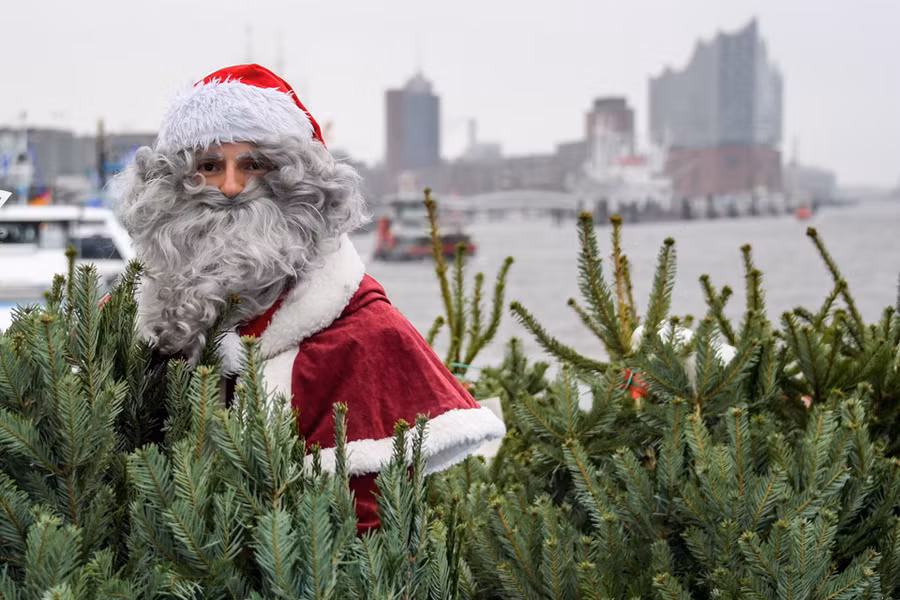  Ông già Noel đang chuẩn bị gửi những cây thông đến các thủy thủ ở cảng Hamburg, miền Bắc nước Đức. Đây là truyền trống ở thành phố này vào mỗi dịp Giáng sinh nhằm giúp những thủy thủ xa nhà cảm nhận được không khí của ngày lễ lớn nhất trong năm.
