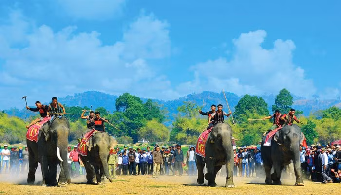 Lễ hội đua voi Tây Nguyên. Lễ hội đua voi Tây Nguyên.
