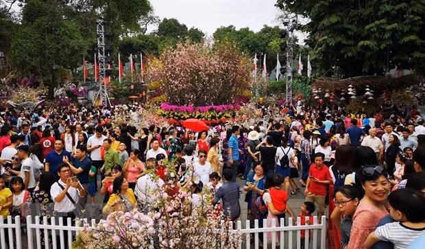 Người dân và du khách tham quan, thưởng lãm hoa anh đào tại không gian lễ hội trong ngày 31/3. 