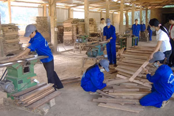 hững doanh nghiệp nhỏ và vừa ở Gia Lai sẽ góp phần quan trọng giúp sự phát triển kinh tế trong tỉnh