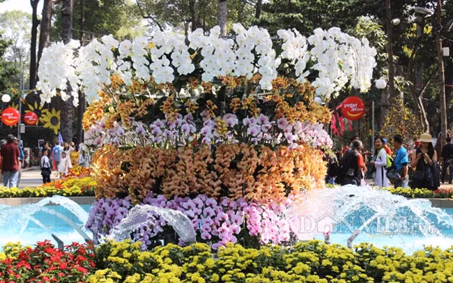 Lan khoe sắc tại công viên Tao Đàn dịp Hội hoa xuân 2019.