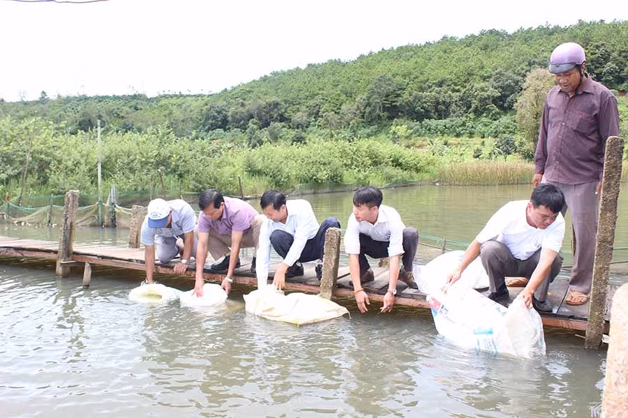  Thả cá tái tạo nguồn lợi thủy sản. Ảnh: N.D