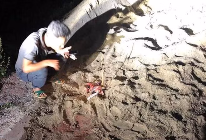 Bãi đất nơi xảy ra vụ việc.