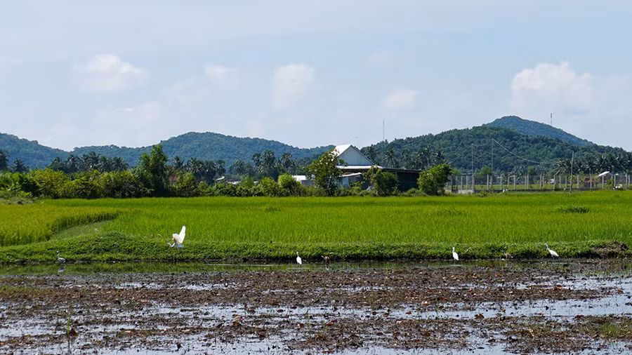  ... có thửa cạn nước