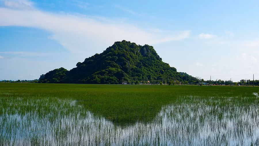 Độ cao địa hình cũng khiến mực nước trên những cánh đồng khác nhau. Có thửa ngập nước...