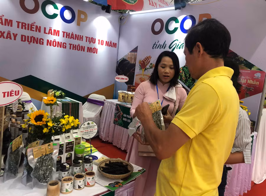 Đoàn công tác của tỉnh gia lai đến thăm gian hàng triển lãm 