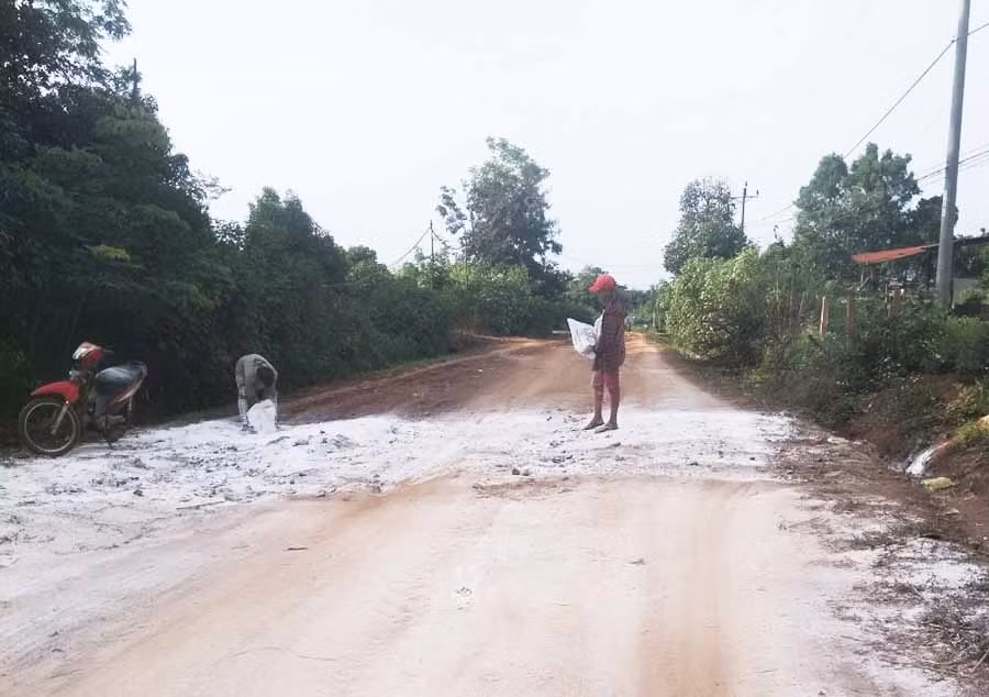 Cơ quan chức năng tiến hành rắc vôi bột, phòng ngừa dịch lây lan. Ảnh: Chí Hào Cơ quan chức năng tiến hành rắc vôi bột, phòng ngừa dịch lây lan. Ảnh: Chí Hào