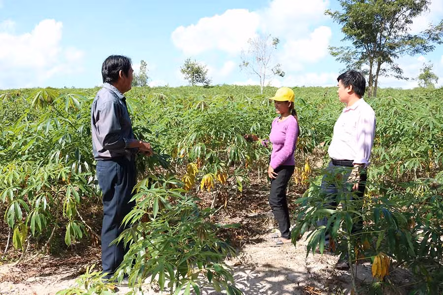Lãnh đạo Hội Nông dân xã và cán bộ ngân hàng trao đổi với chị Đinh Thị Đinl về tình hình phát triển sản xuất. Ảnh: N.S