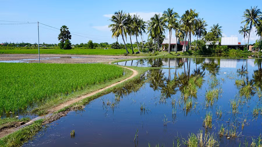 Cuộc sống cũng đa dạng, có nơi là phố thị sầm uất, có nơi là những thôn xóm thanh bình