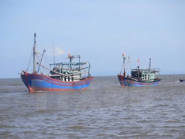 Ảnh minh họa