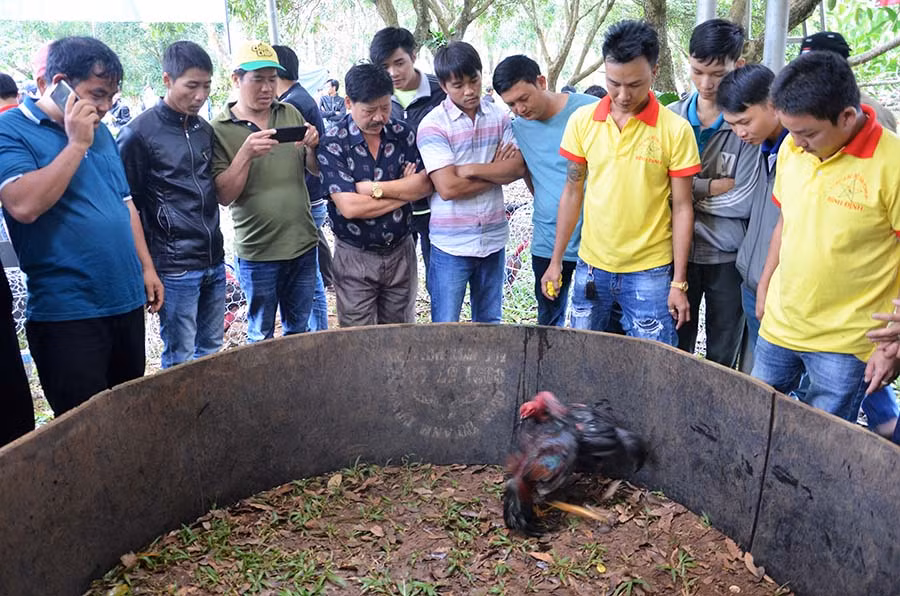 Có hơn 100 nghệ nhân tham gia giải đấu. Ảnh: Khôi Nguyên