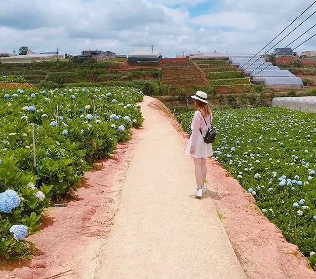 Ảnh: thanhthanh
