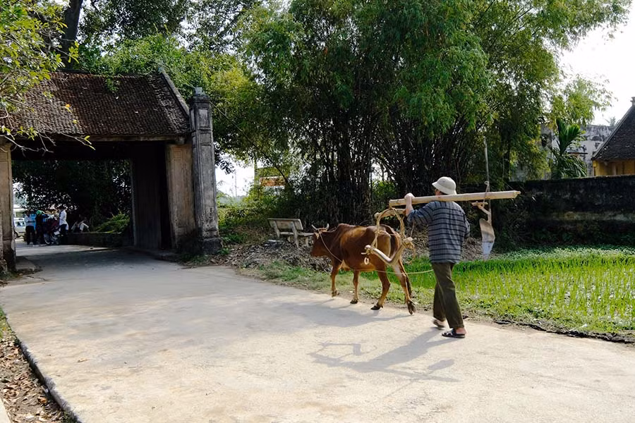  Cổng làng Mông Phụ