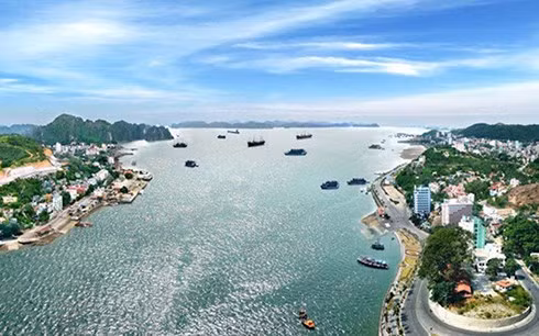 Ảnh minh họa Ảnh minh họa