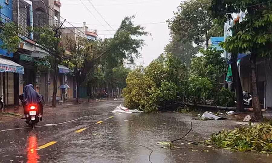  Cây xanh ngã đổ trên đường Nguyễn Thái Học TP. Qui Nhơn. Ảnh: Thi Phú