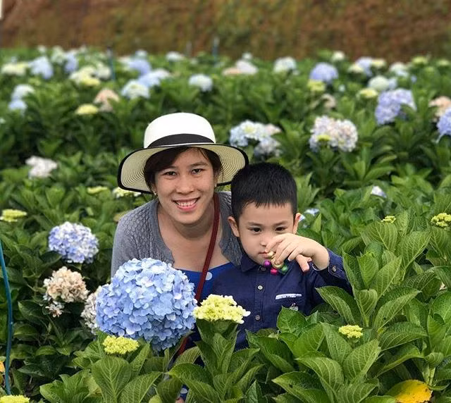 Vườn hoa cẩm tú cầu đang là một trong những điểm đến “hot” nhất ở Đà Lạt. Du khách đến đây có thể tha hồ ngắm cảnh, chụp ảnh check-in, nhưng cũng cần lưu ý không hái hoa hay làm hư hại cảnh quan khu vườn. Ảnh: koko_naoki