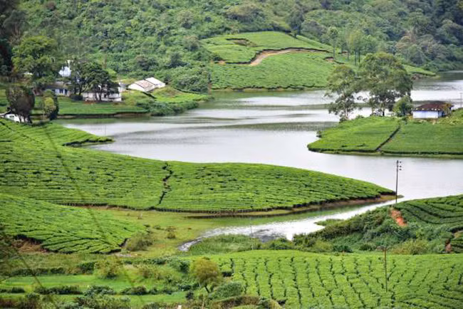  Nằm trong vòng đua của Western Ghats, Theni là một trong những thị trấn hoang sơ, xinh đẹp và yên bình nhất ở Tamil Nadu.