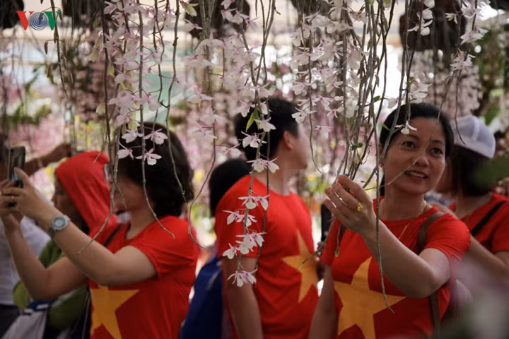 Những cái tên Hoàng thảo trầm, Hoàng thảo kèn, phi điệp... là những loài lan đặc trưng ở Lai Châu