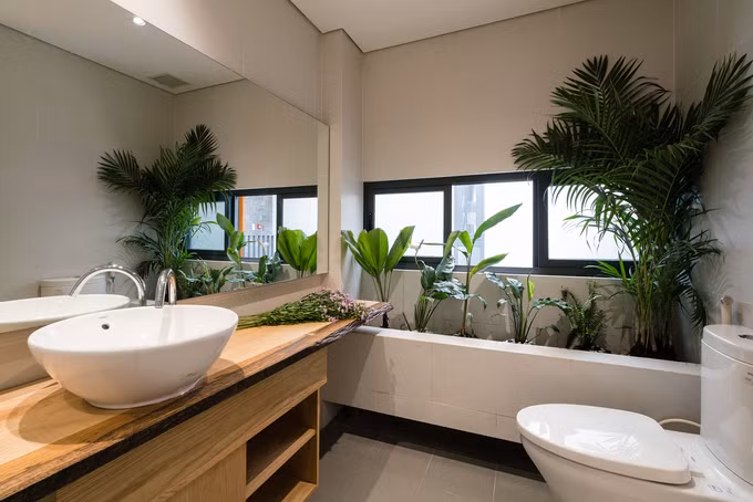 Ngôi nhà tận dụng từng góc nhỏ để tạo những mảng xanh. Cây trồng đều là những loại cây ưa bóng râm, có thể trồng trong nhà. Ngôi nhà tận dụng từng góc nhỏ để tạo những mảng xanh. Cây trồng đều là những loại cây ưa bóng râm, có thể trồng trong nhà.