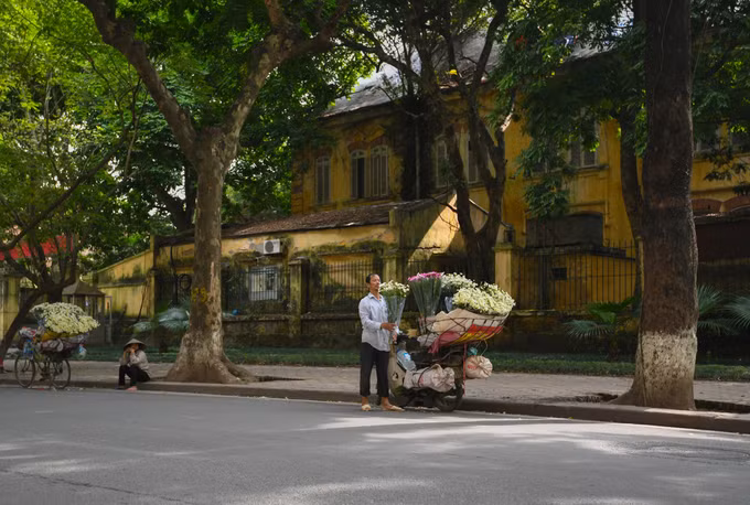  Nếu tiện đi qua phố Phan Đình Phùng, du khách sẽ gặp nhiều xe hoa tập trung ở đoạn giao với phố Hoàng Diệu và đoạn giao phố Lý Nam Đế. Du khách nên đến đây từ 8h30 đến 18h để mua được những bó cúc họa mi dọc trên phố.