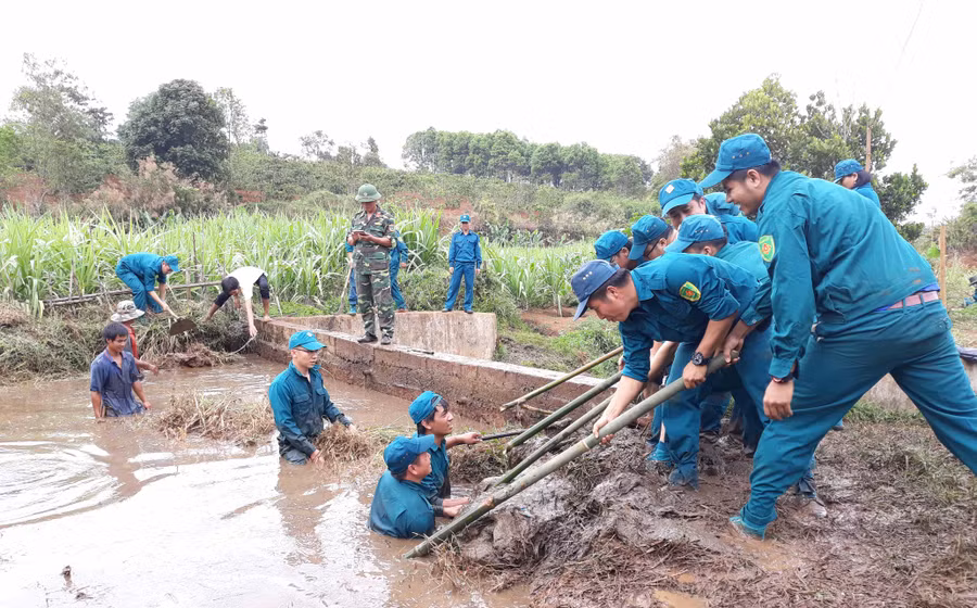 Ảnh: Quang Tấn