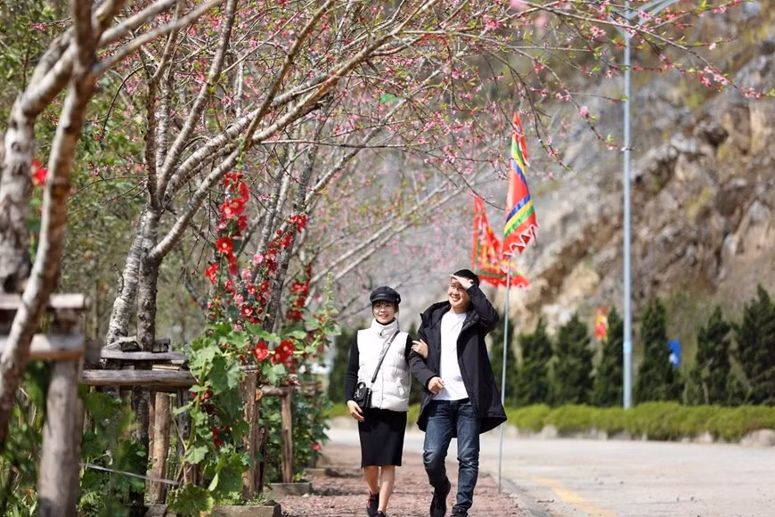 Từ những ngày đầu xuân, con đường Nguyễn Chí Thanh dẫn vào khu du lịch Sun World Fansipan Legend đã được nhuộm hồng trong muôn sắc đào phai đang chen nhau đua nở. ( Ảnh: CTV) Từ những ngày đầu xuân, con đường Nguyễn Chí Thanh dẫn vào khu du lịch Sun World Fansipan Legend đã được nhuộm hồng trong muôn sắc đào phai đang chen nhau đua nở. ( Ảnh: CTV)