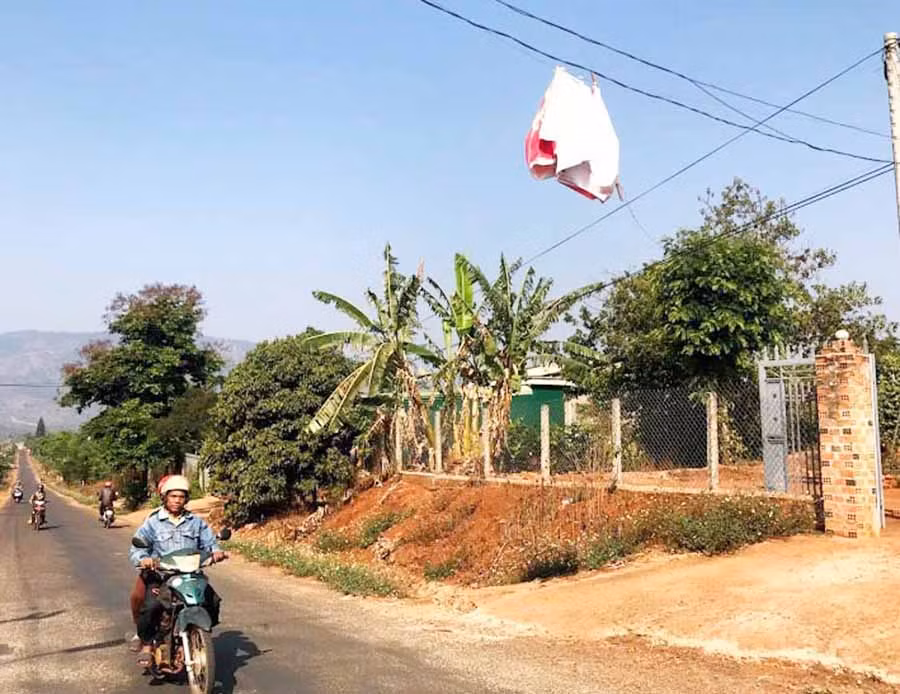 Ảnh: Trần Dung
