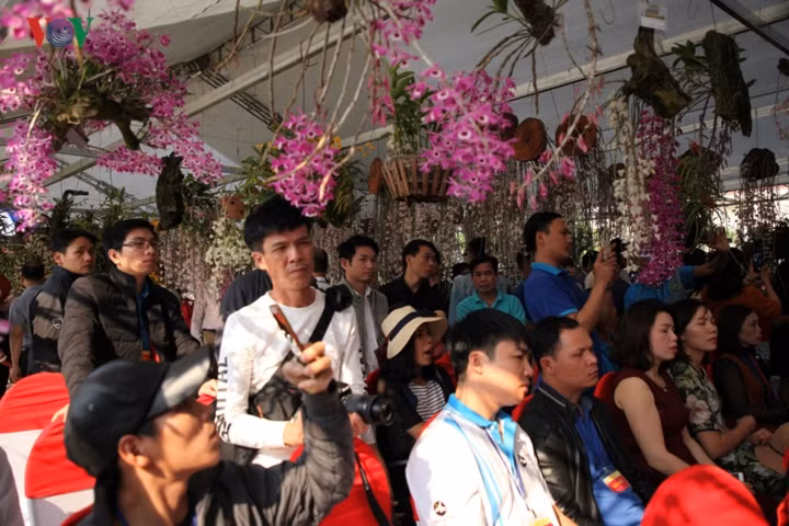 Với chủ đề 