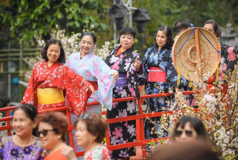Nhiều người còn chuẩn bị những bộ kimono truyền thống của Nhật Bản để chụp ảnh cùng loài hoa biểu tượng của quốc gia này. Trong ảnh là cây cầu gỗ được đặt giữa vườn hoa Lý Thái Tổ, trang trí với nhiều cành anh đào xung quanh gợi không gian kiến trúc của người Nhật.