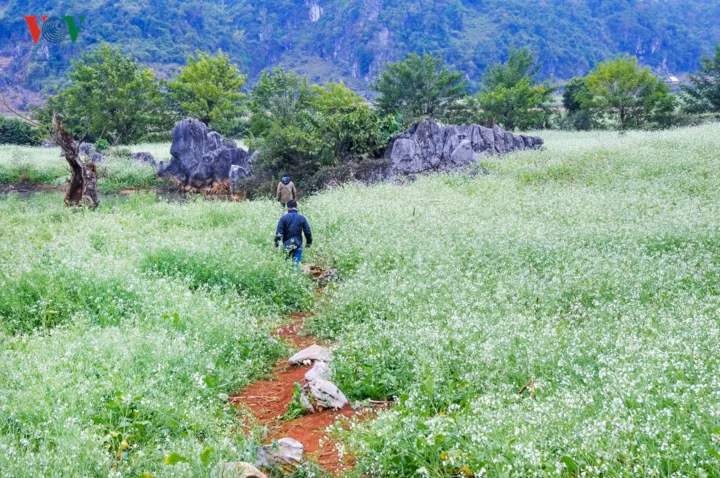  Những điểm đến đẹp nhất phải kể đến các thung lũng, Bản Áng, Nà Ka, Pa Phách, Phiêng Cành, Ngũ Động Bản Ôn,…