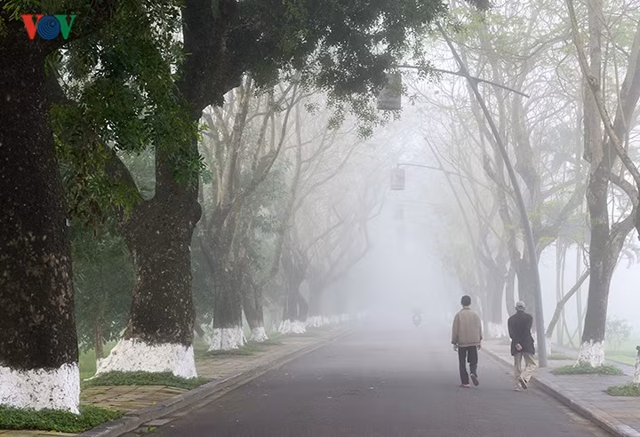 “Đường phượng bay mù xa lối về...” , mùa sương ở Huế diễn tả hết những lời ca bất hủ của cố nhạc sỹ Trịnh Công Sơn.