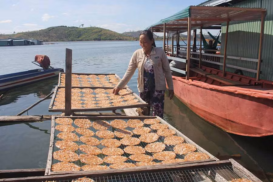 Tham gia tour du lịch trên lòng hồ Sê San 4, du khách có thể cùng người dân làng chài phơi cá, làm bánh tráng cá cơm. Ảnh: K.N.B