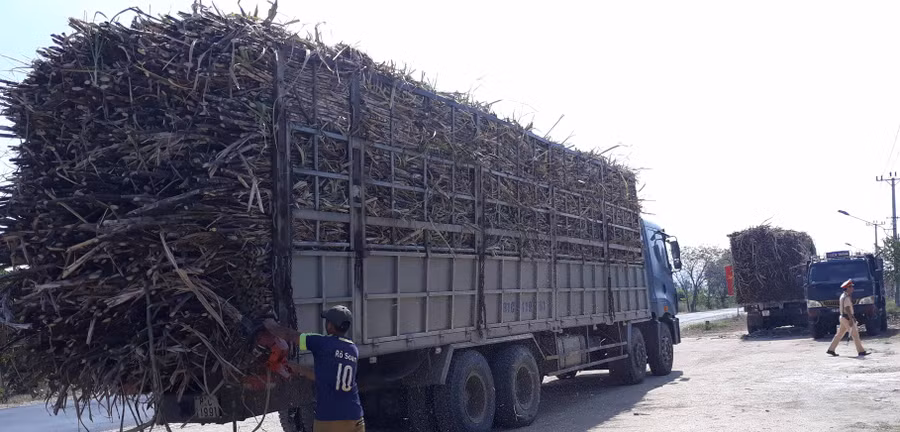 Buộc các xe vi phạm hạ tải hàng hóa. Ảnh: Mai Linh