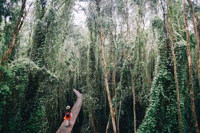 Làng nổi Tân Lập là điểm dừng chân không thể bỏ qua trong hành trình khám phá Long An.