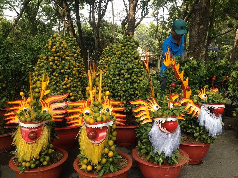 Tắc kiểng tạo hình rồng giá 3 triệu đồng/cặp