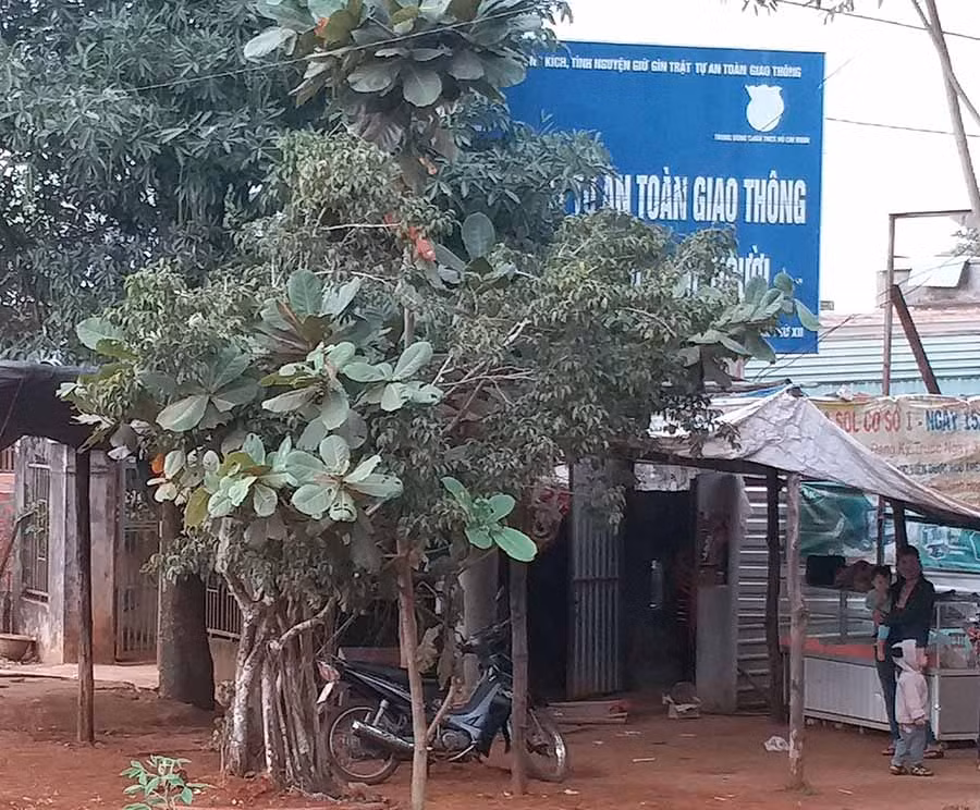 Ảnh: Ngọc Sang