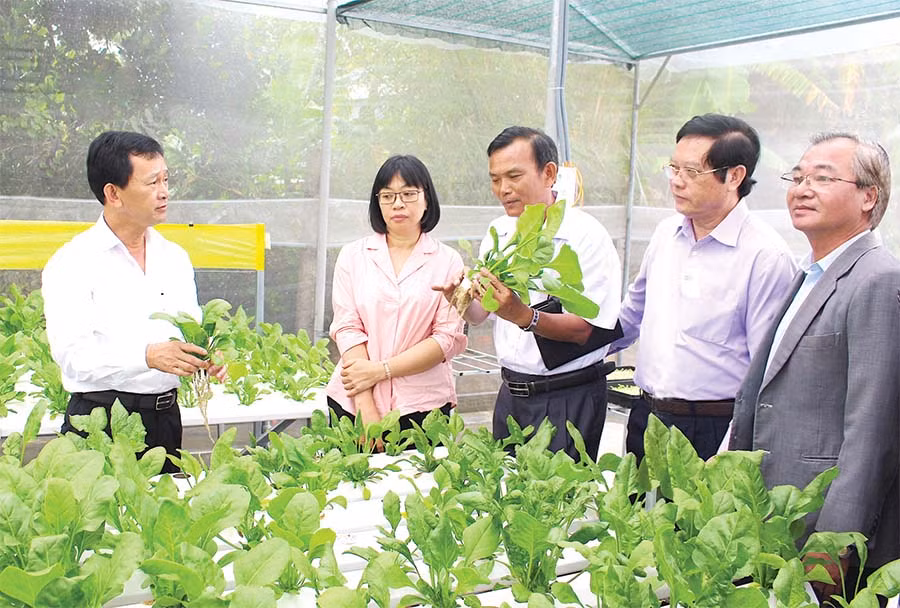 Bí thư Tỉnh ủy Dương Văn Trang (bìa trái) tham quan vườn rau thủy canh của thành viên Hợp tác xã Dịch vụ-Nông nghiệp An Bình trong chuyến thăm và làm việc tại thị xã An Khê ngày 7-11-2018. Ảnh: Hồng Thi